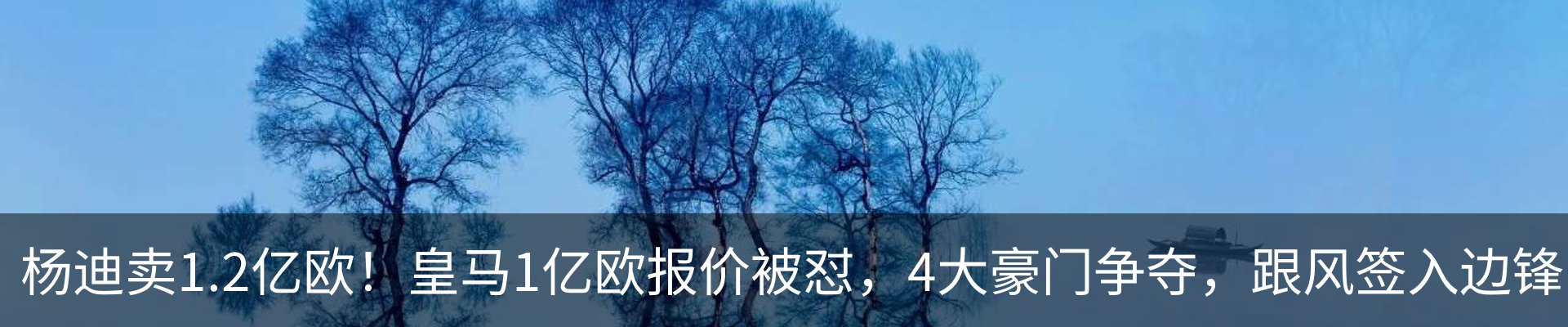 资讯动态