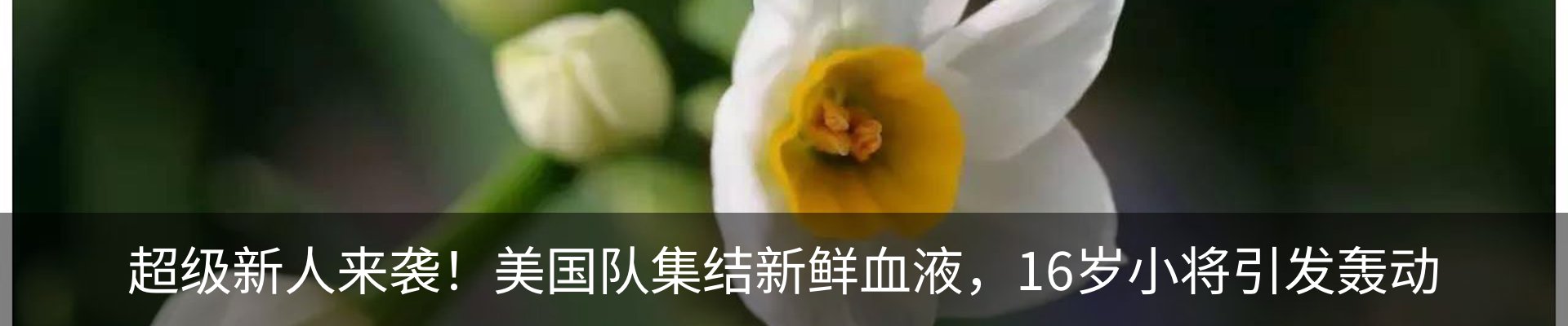 资讯动态