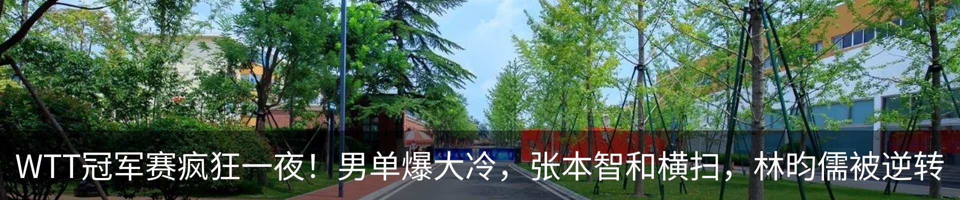 资讯动态